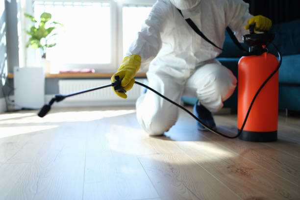 Reliable Hoarding Cleanup contractor in Franklin, VA by Dulley Family Biohazard Services